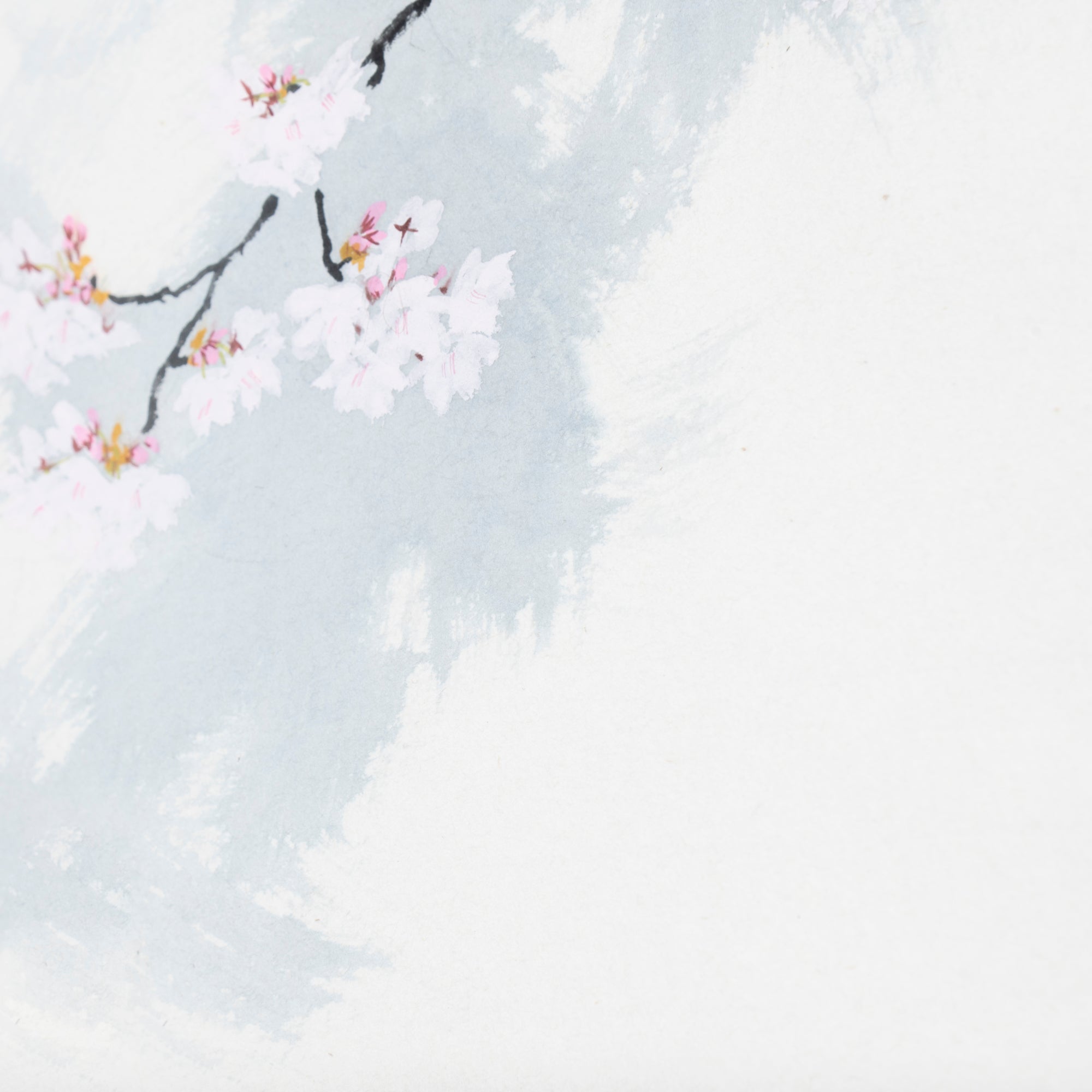 Cat and Sakura Kakejiku Hanging Scroll