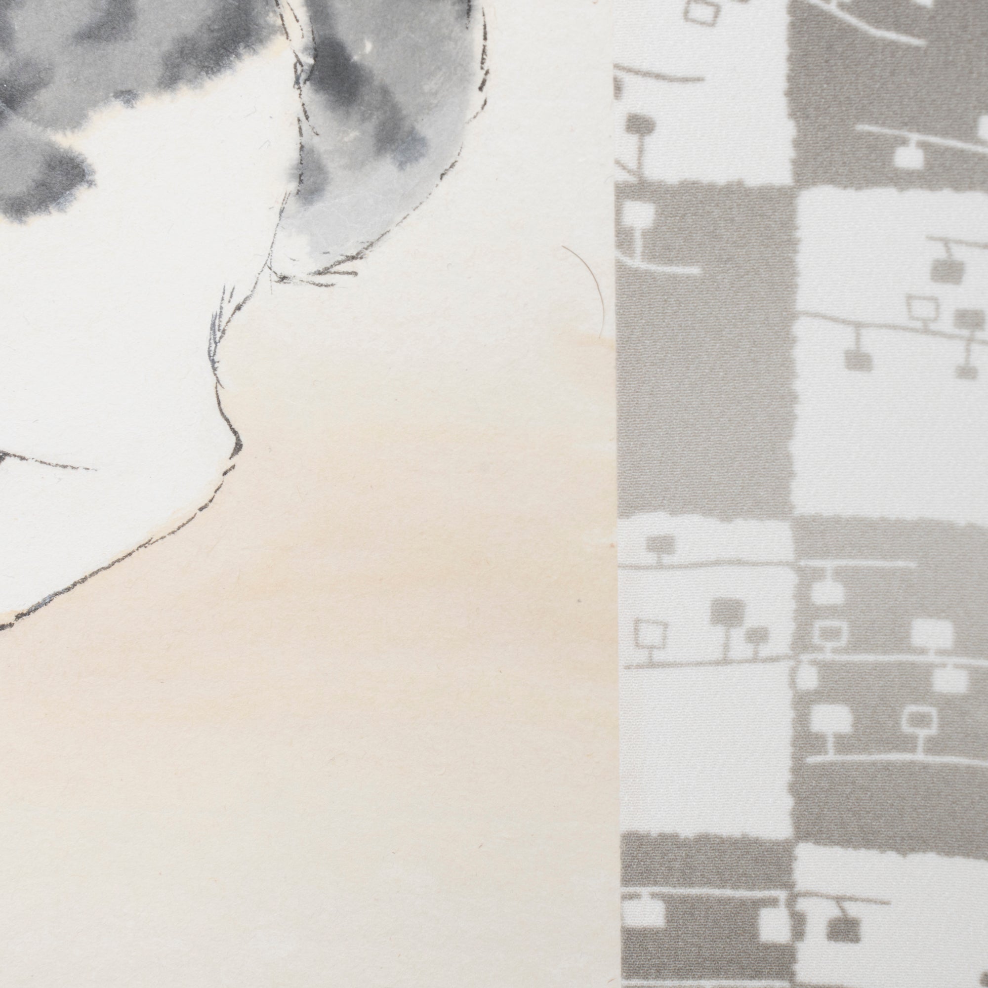 Cat and Trumpet Vine Kakejiku Hanging Scroll