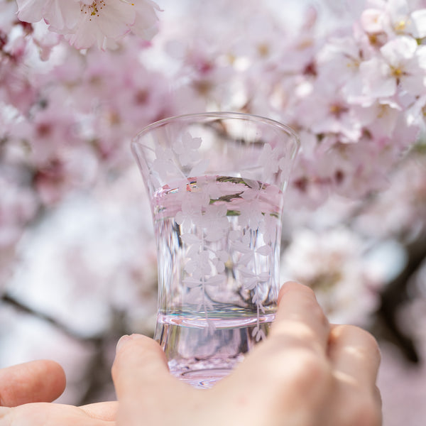 Hirota Weeping Cherry Blossom Edo Kiriko Cut Glass Small Tumbler