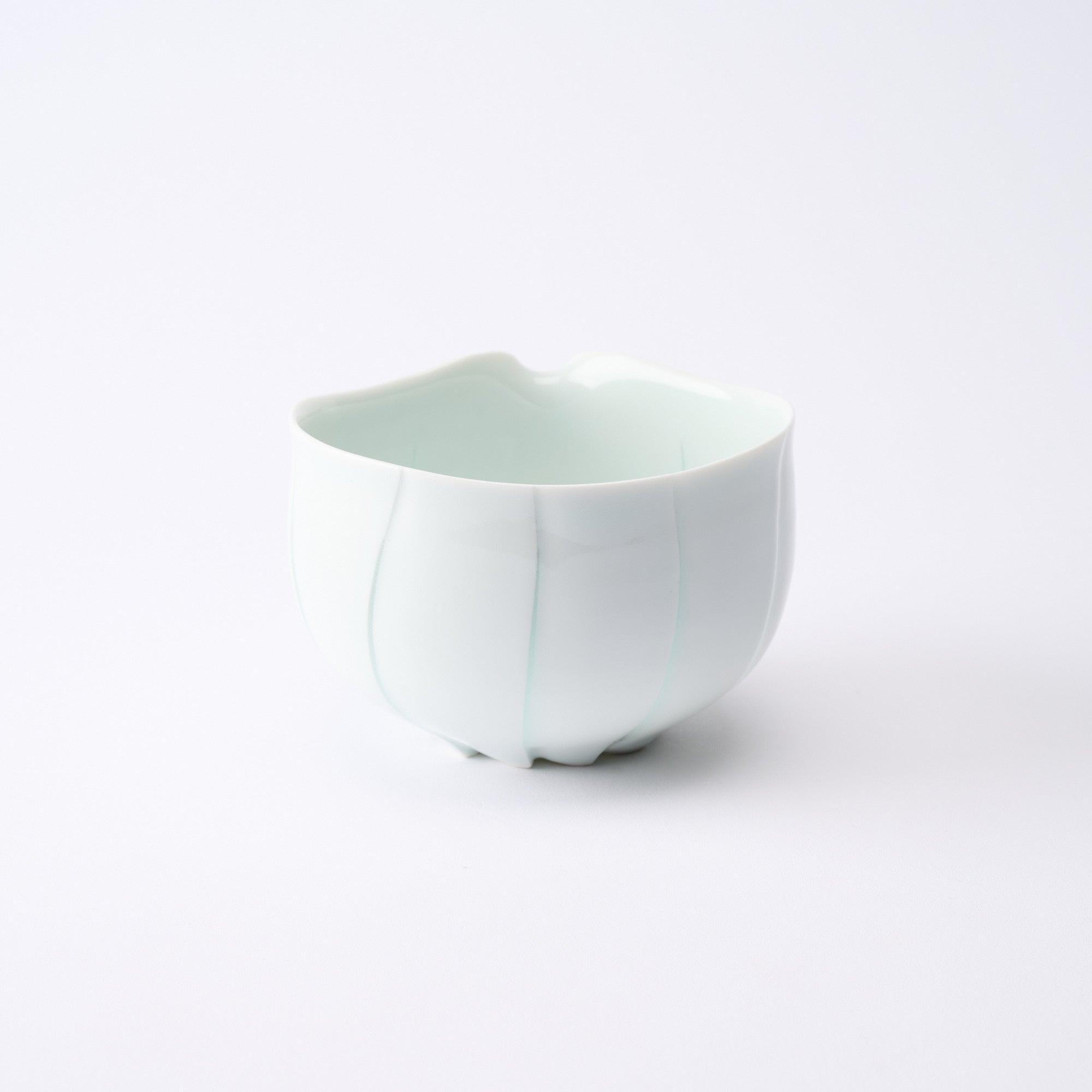 Fluctuation Sake Set