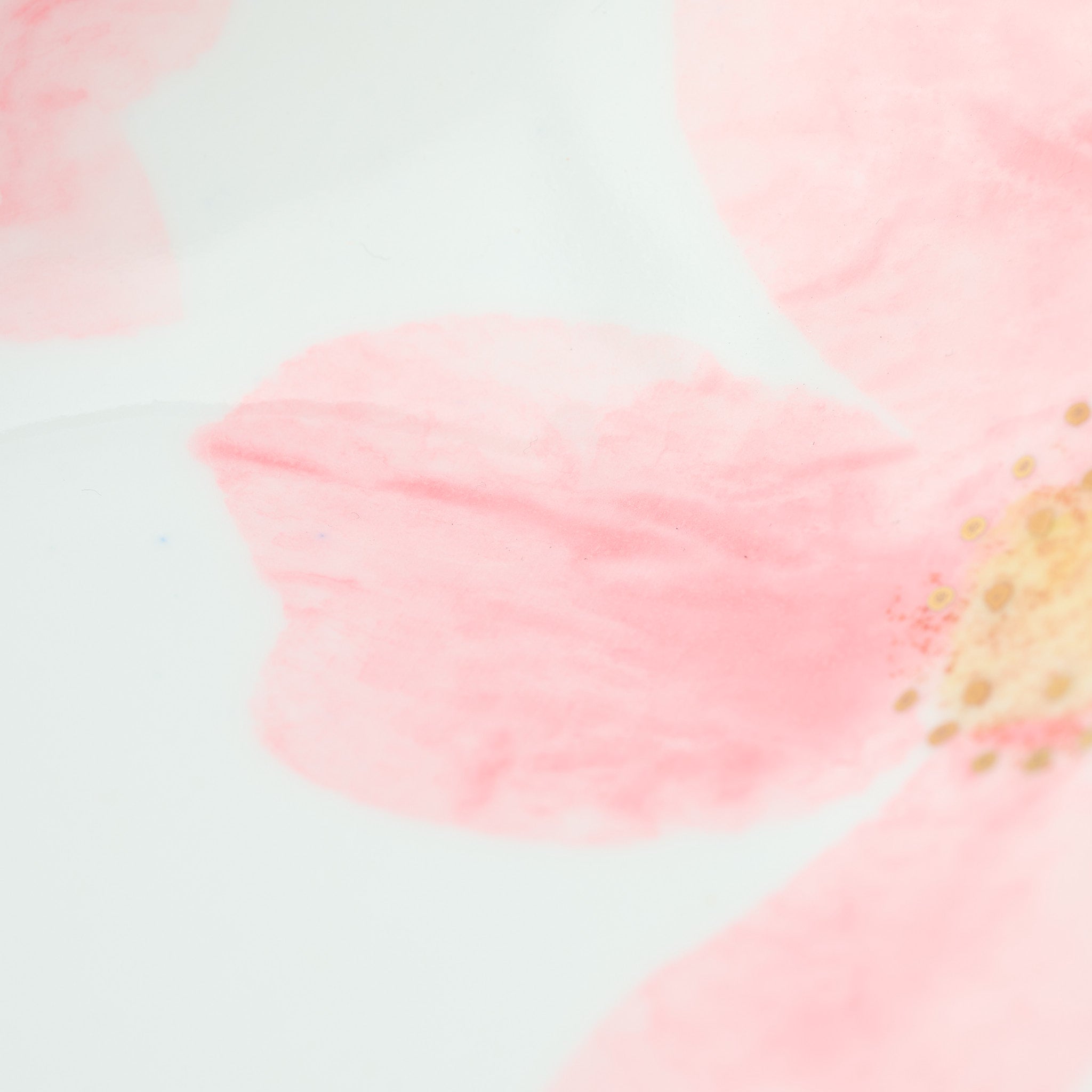 Blossoming Sakura Oval Large Bowl