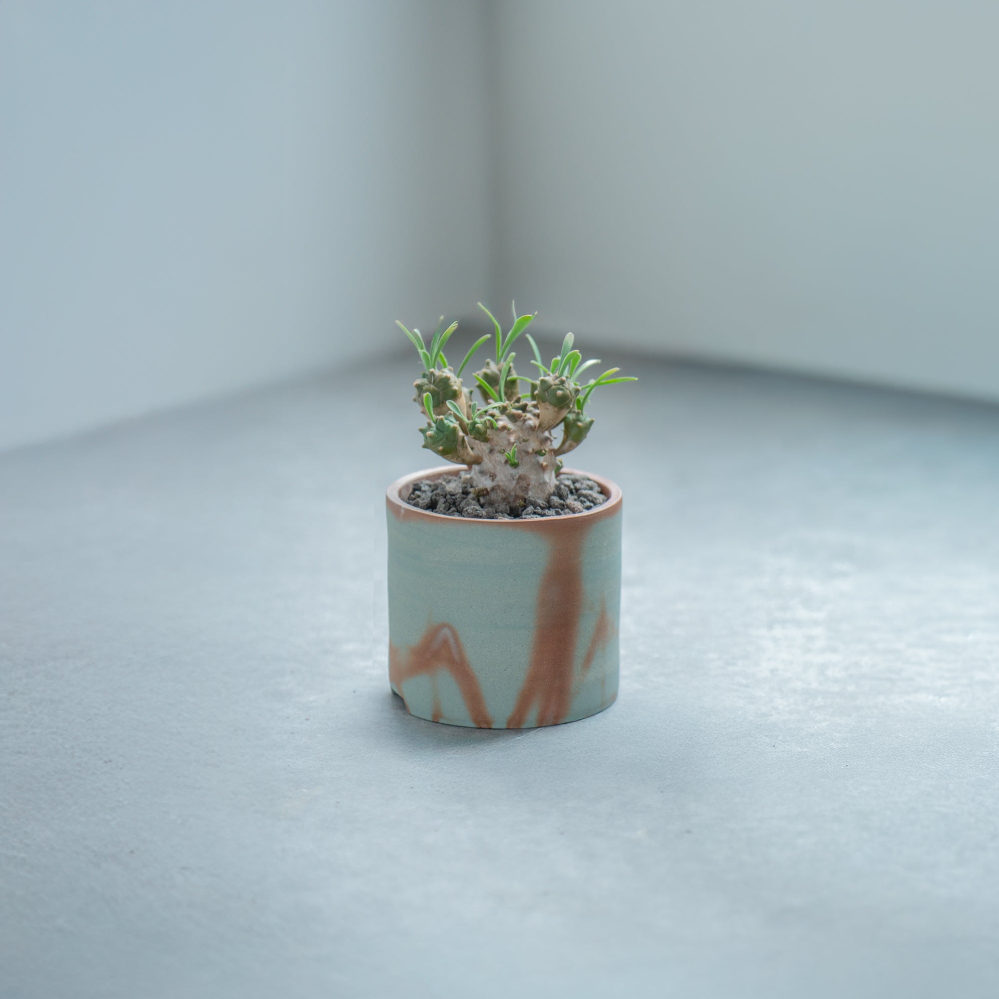 Hidasuki Short Plant Pot 3 In