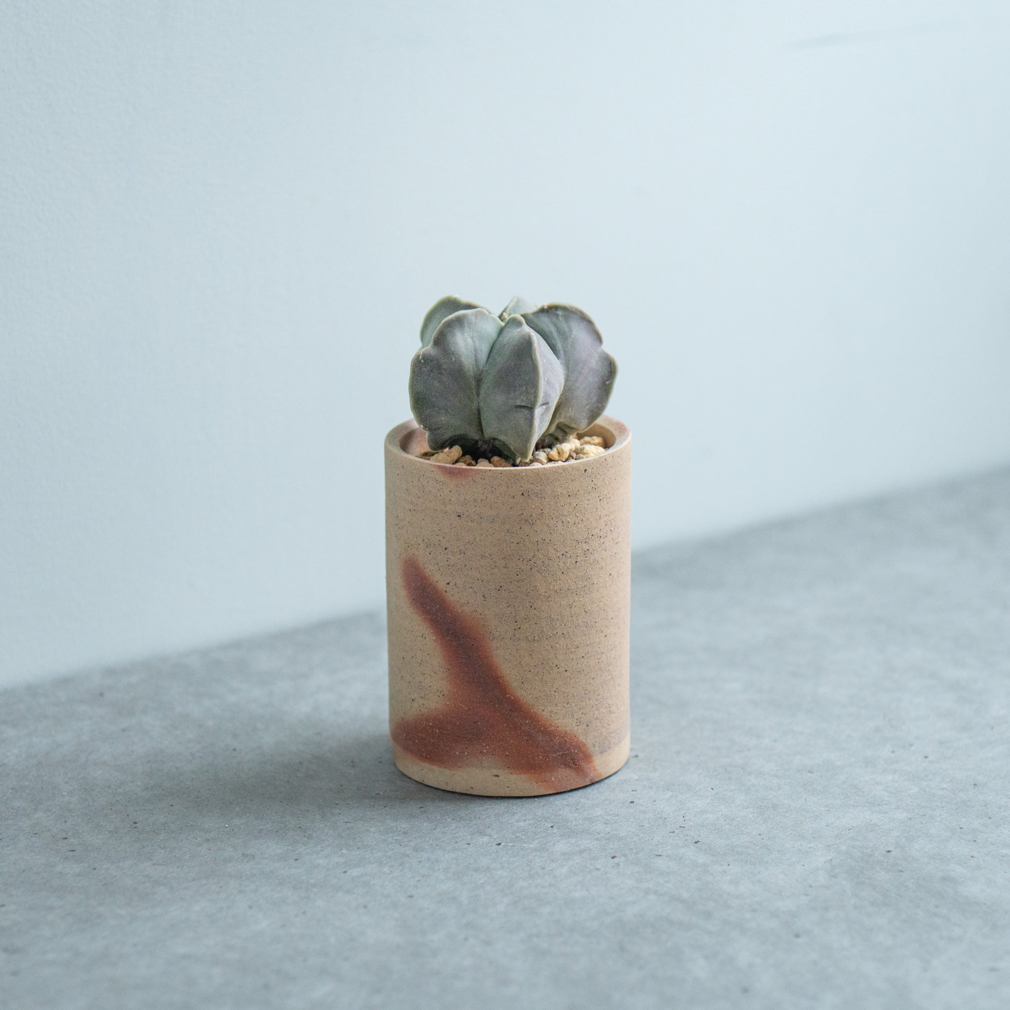 Hidasuki Slim Pflanztopf 3 Zoll