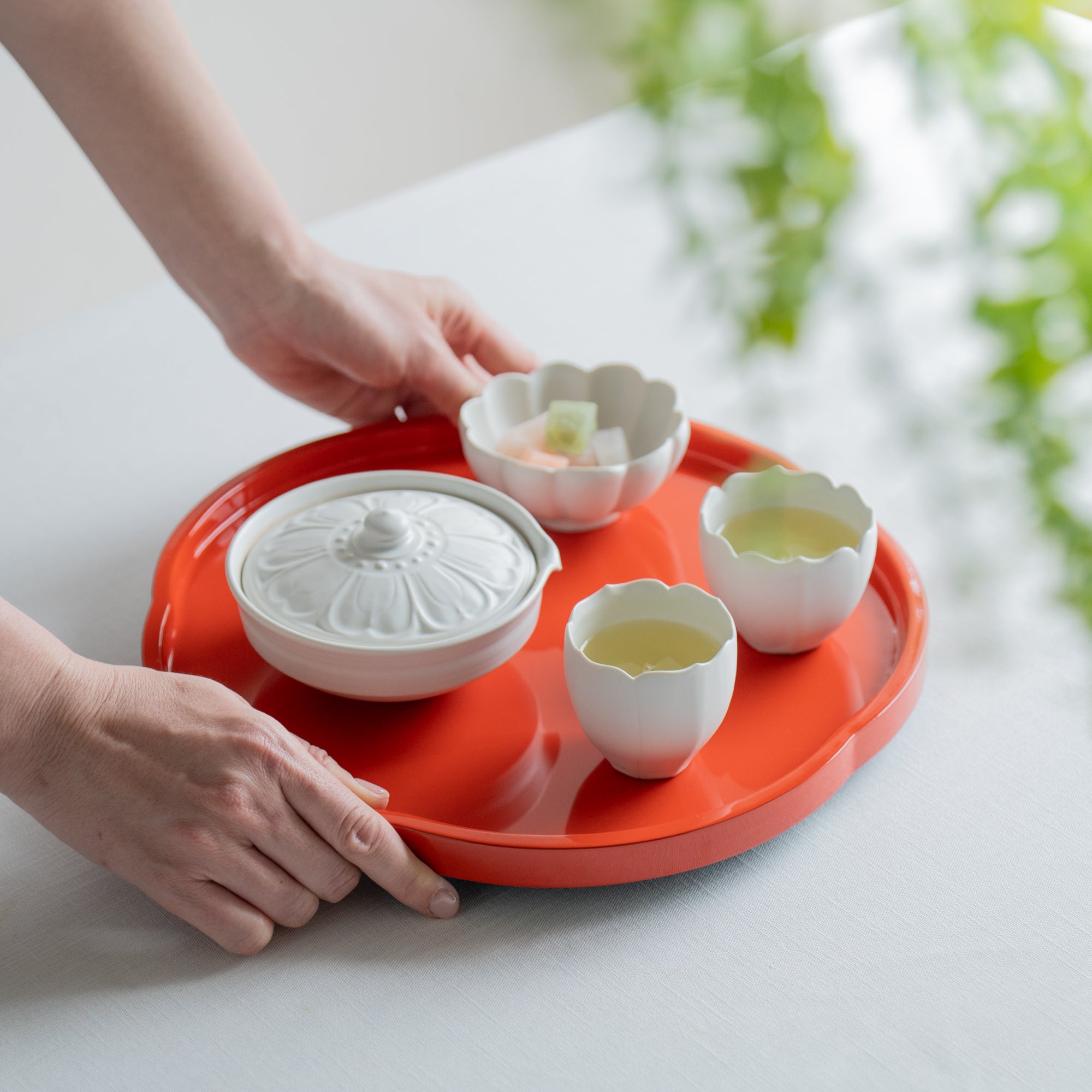 RINKA Shiboridashi japanische Teekanne