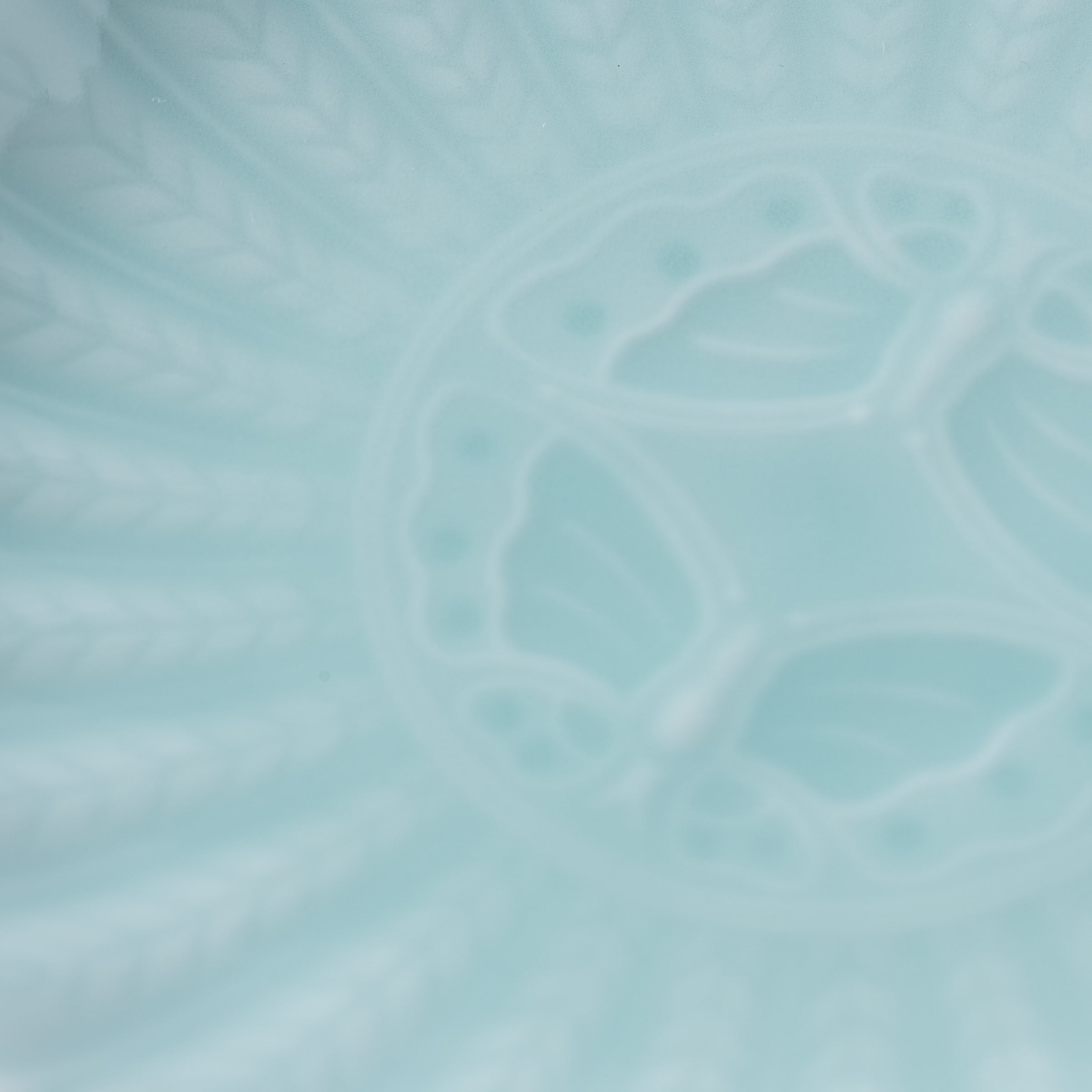 Kaiseki Butterfly Relief Side Plate