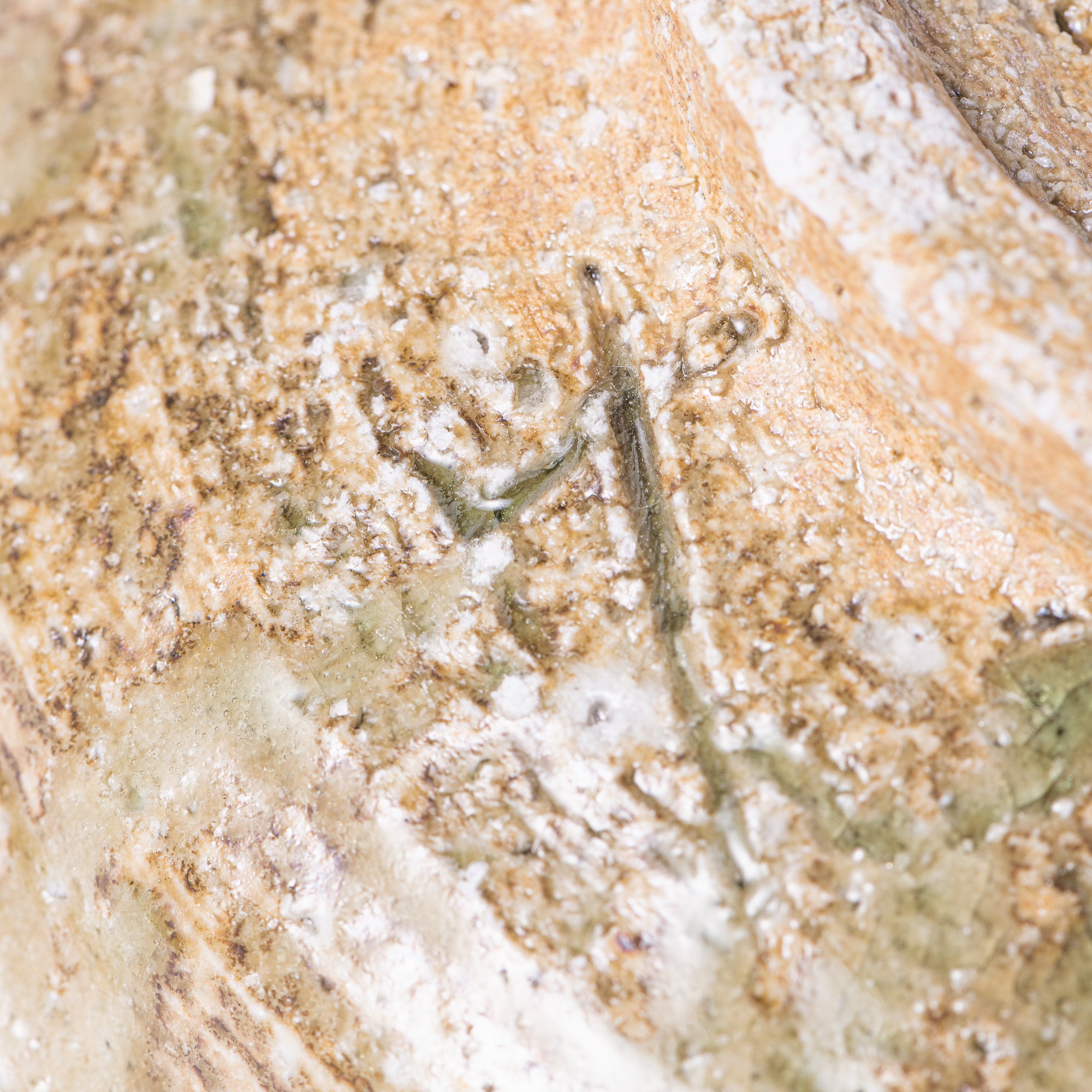 Iga Open Rim Large Bowl