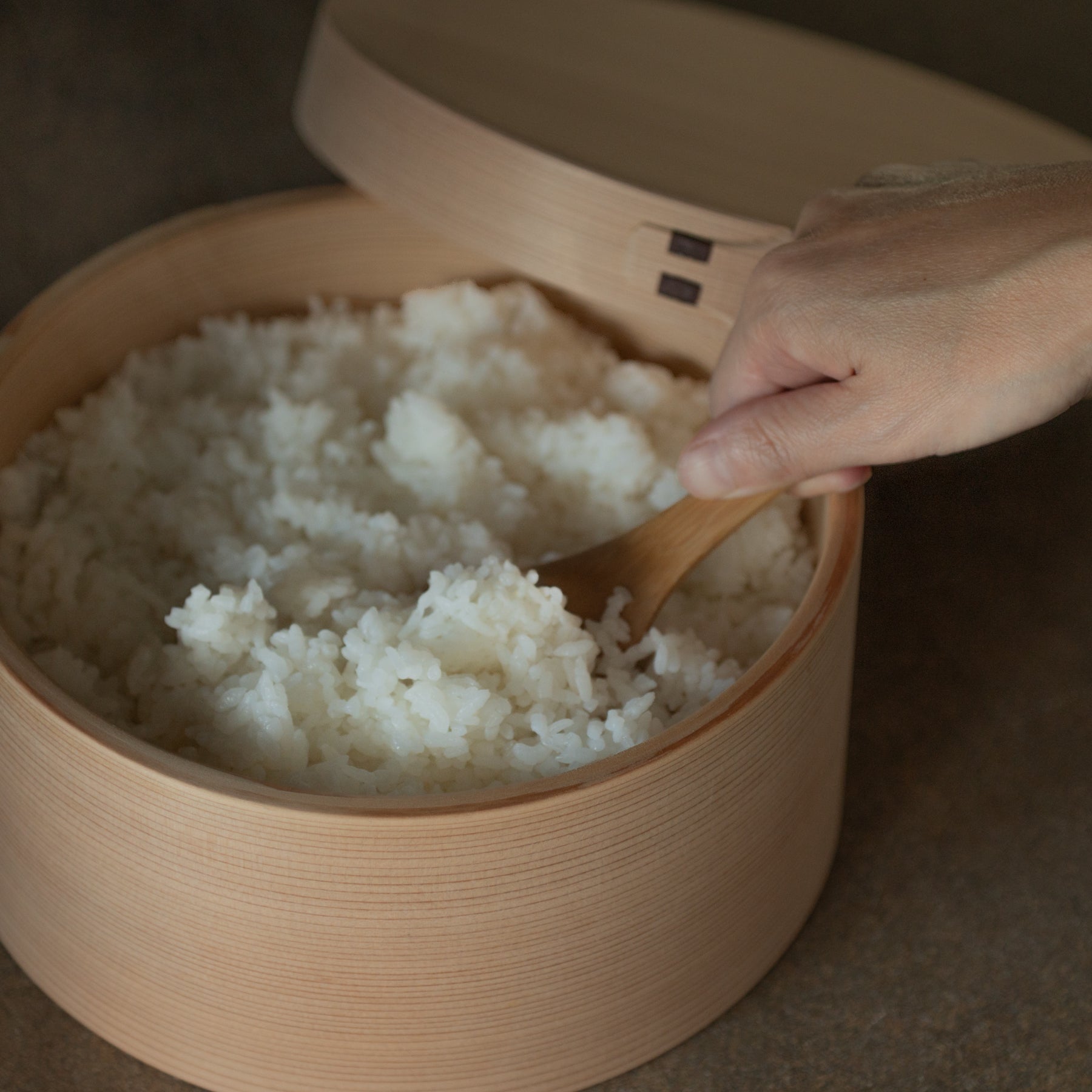 Récipient à riz Ohitsu en cèdre d'Akita