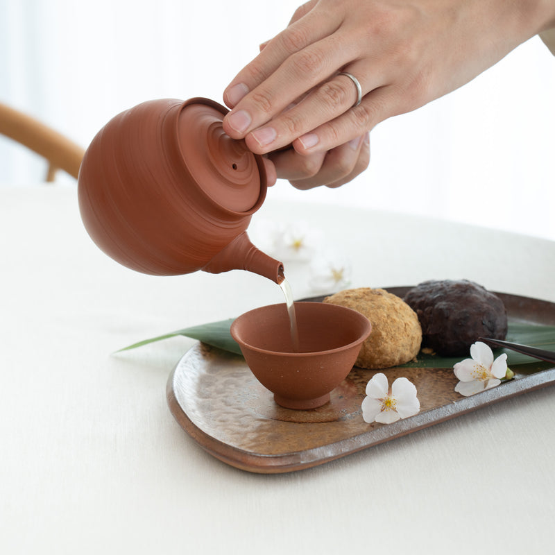 Fugetsu Red Clay Tokoname Japanese Teapot Set 9.5oz(280ml)-Sasame and Ceramesh
