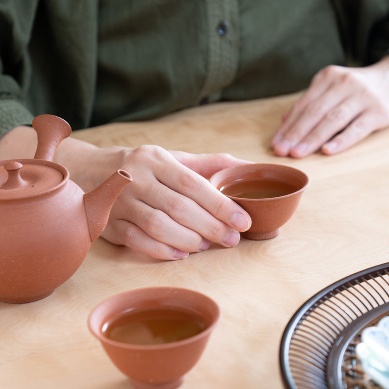 Junzo Red Clay Tokoname Japanese Teapot Set 8.8oz(260ml)-Sasame and Ceramesh