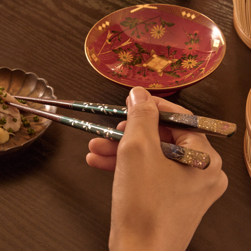 Terra Distribution Premium Japanese Chopsticks Reusable 2prs Set [ Made in Japan ] Traditional Lacquer Art Wooden Chopsticks B (modern Style YE/RD(2KR014))