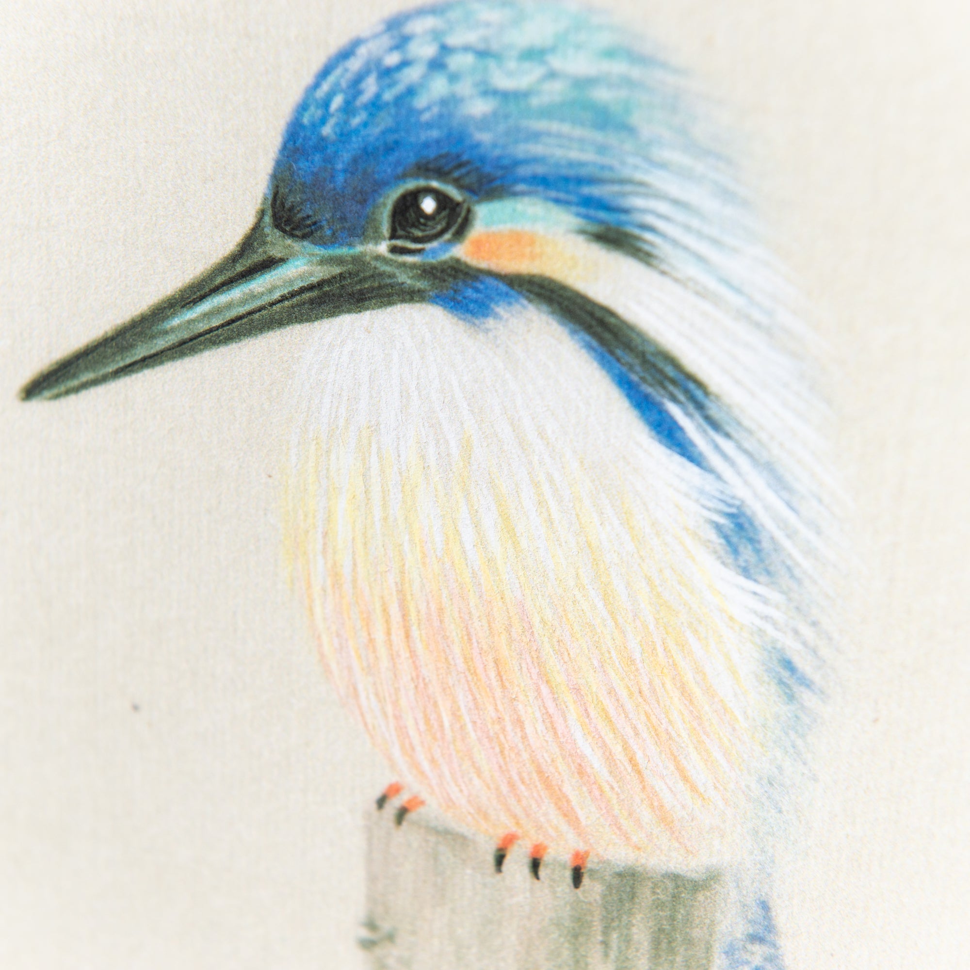 Kingfisher Under The Tree Kakejiku Hanging Scroll
