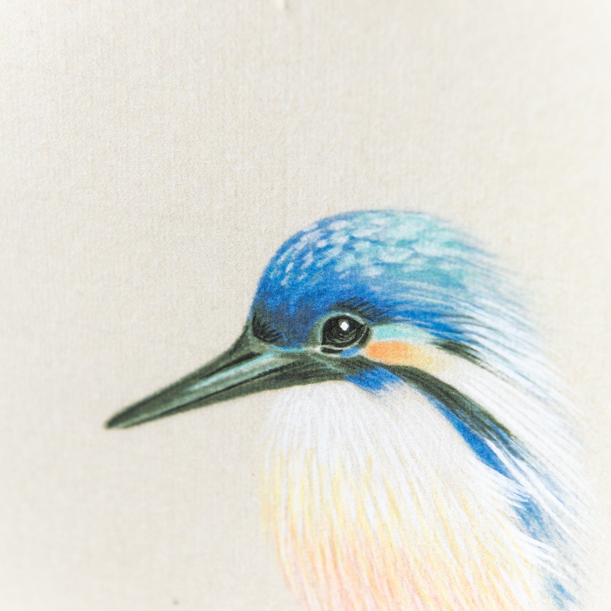 Kingfisher Under The Tree Kakejiku Hanging Scroll