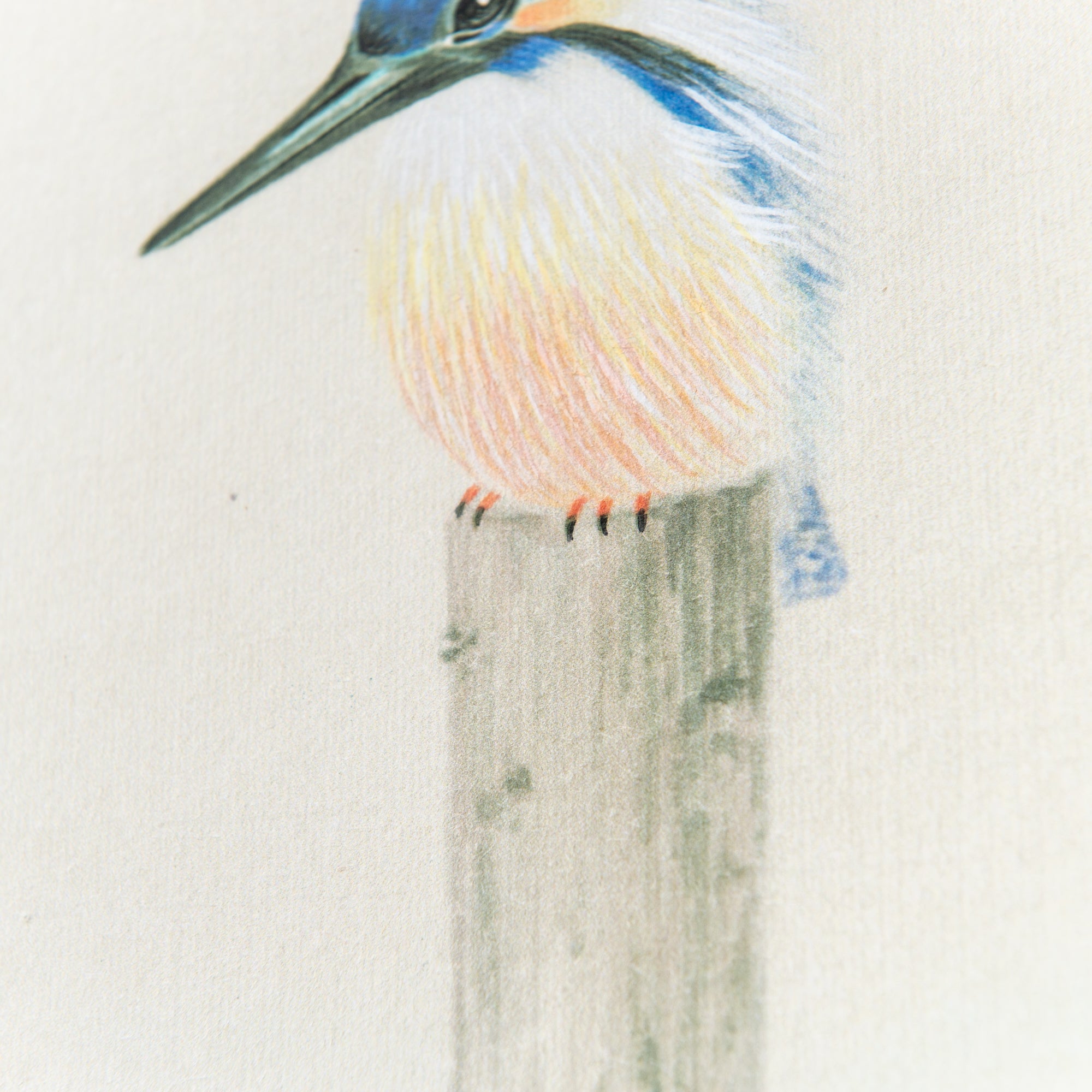 Kingfisher Under The Tree Kakejiku Hanging Scroll