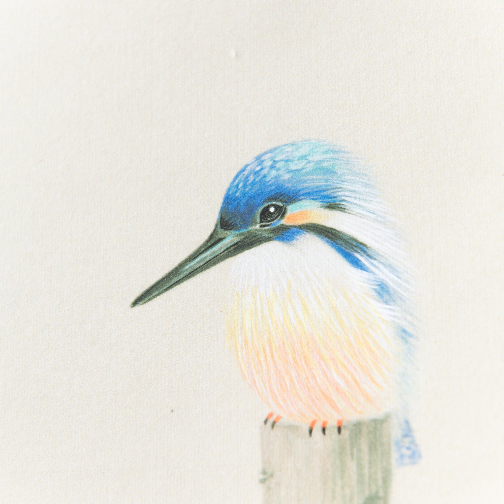 Kingfisher Under The Tree Kakejiku Hanging Scroll