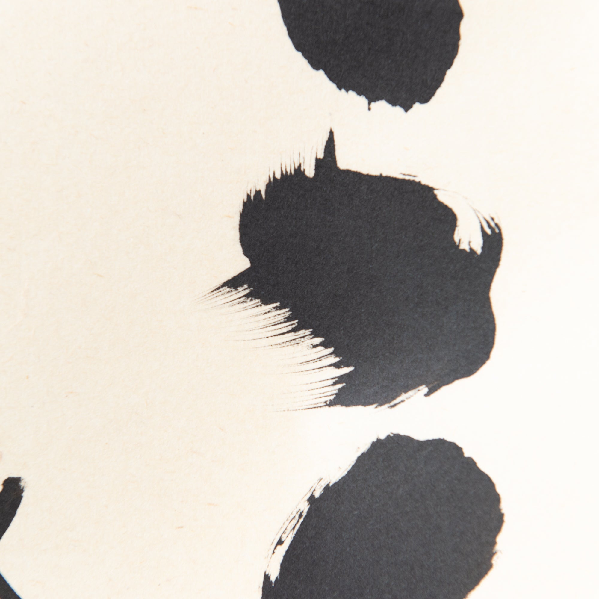 Every Day Is a Good Day Kakejiku Hanging Scroll