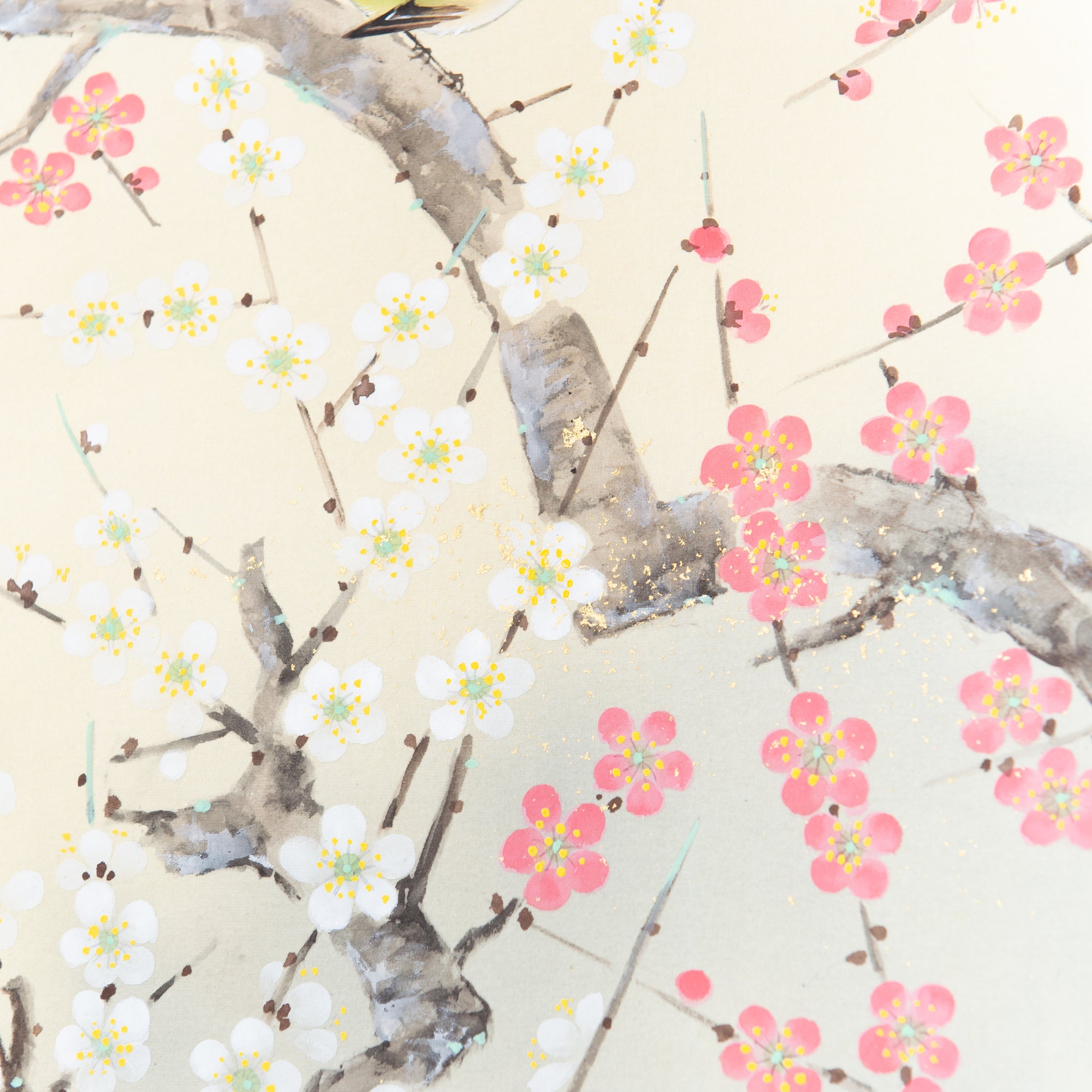 Warbler Among Plum Blossoms Kakejiku Hanging Scroll