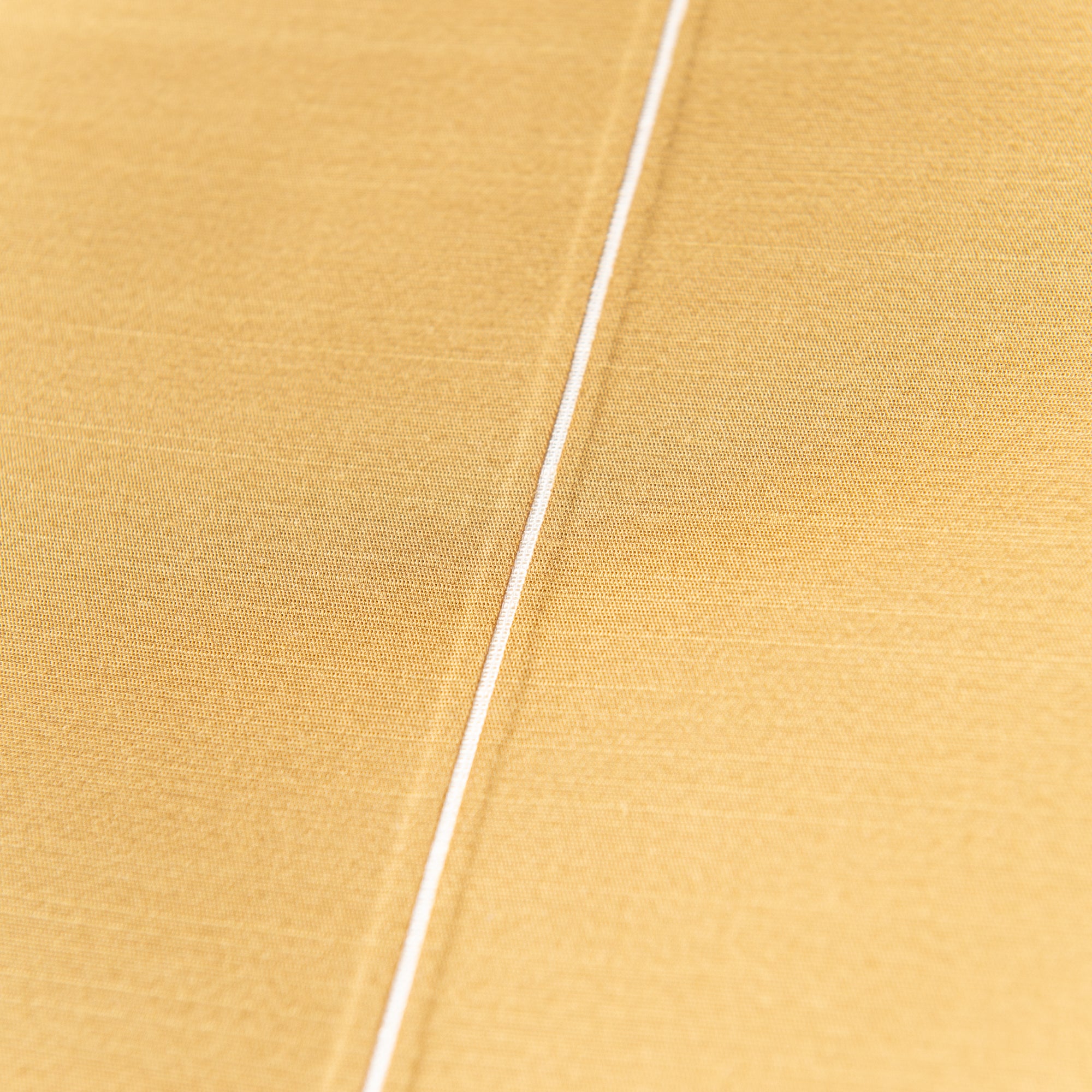 Red Plum Blossoms with Warbler Kakejiku Hanging Scroll