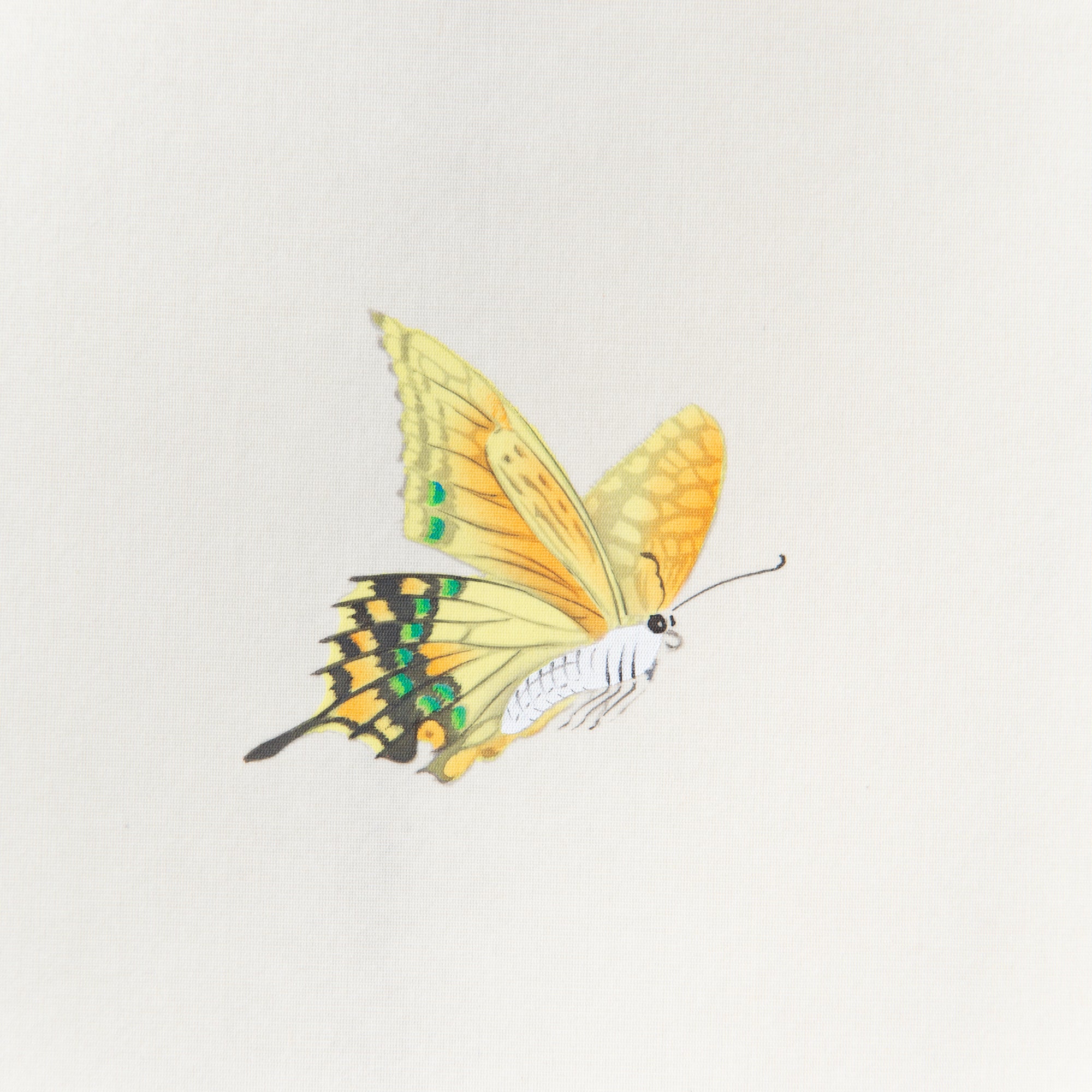 Cat and Butterfly Kakejiku Hanging Scroll