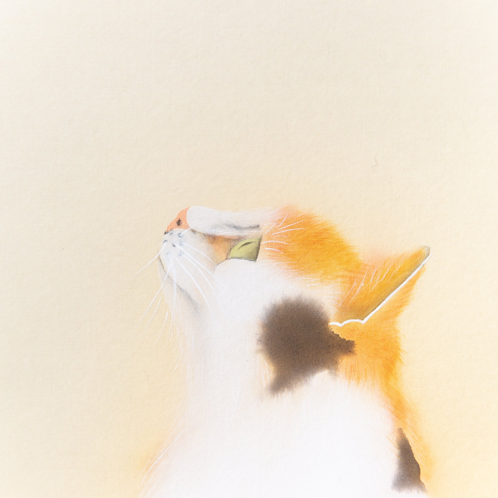 Cat and Butterfly Kakejiku Hanging Scroll