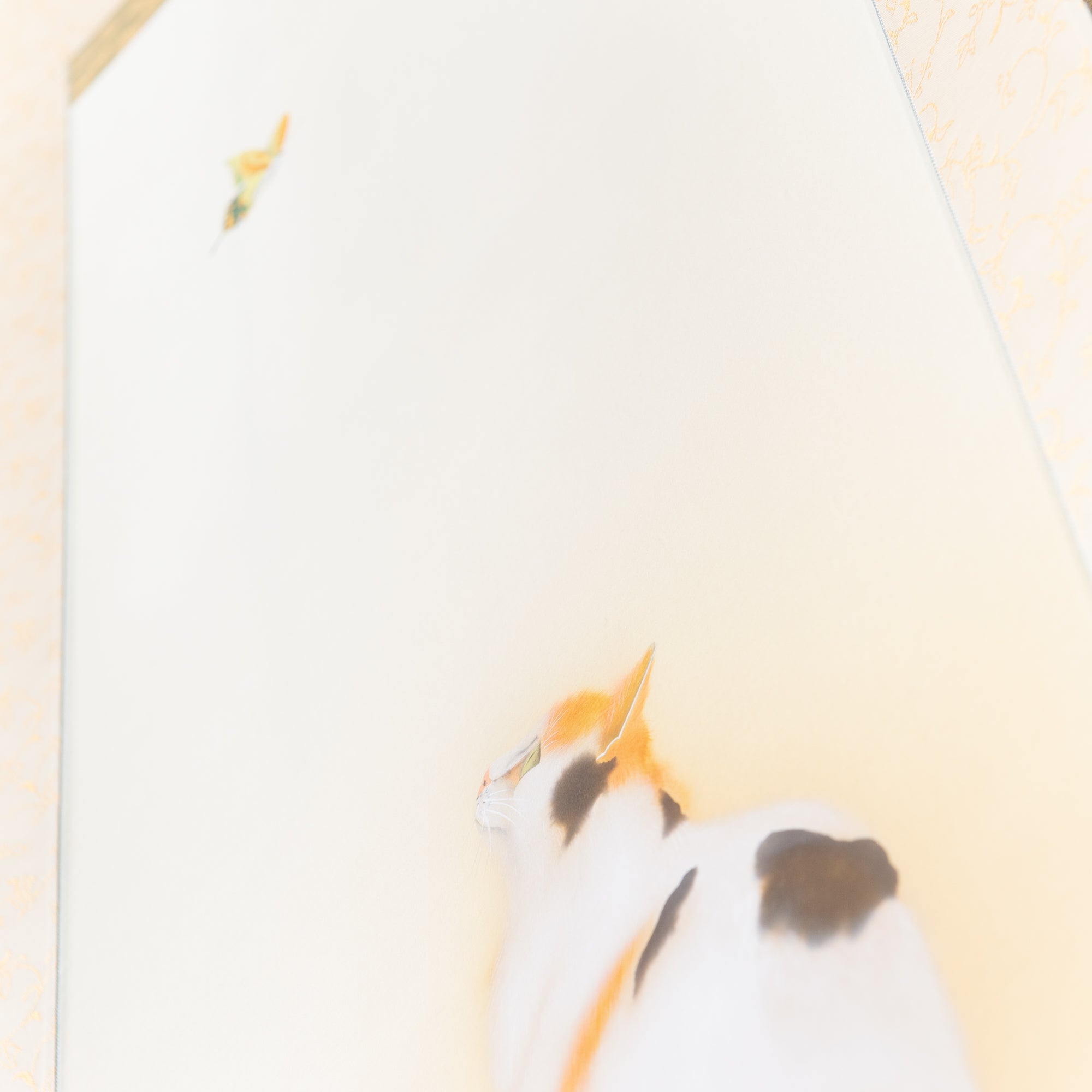 Cat and Butterfly Kakejiku Hanging Scroll