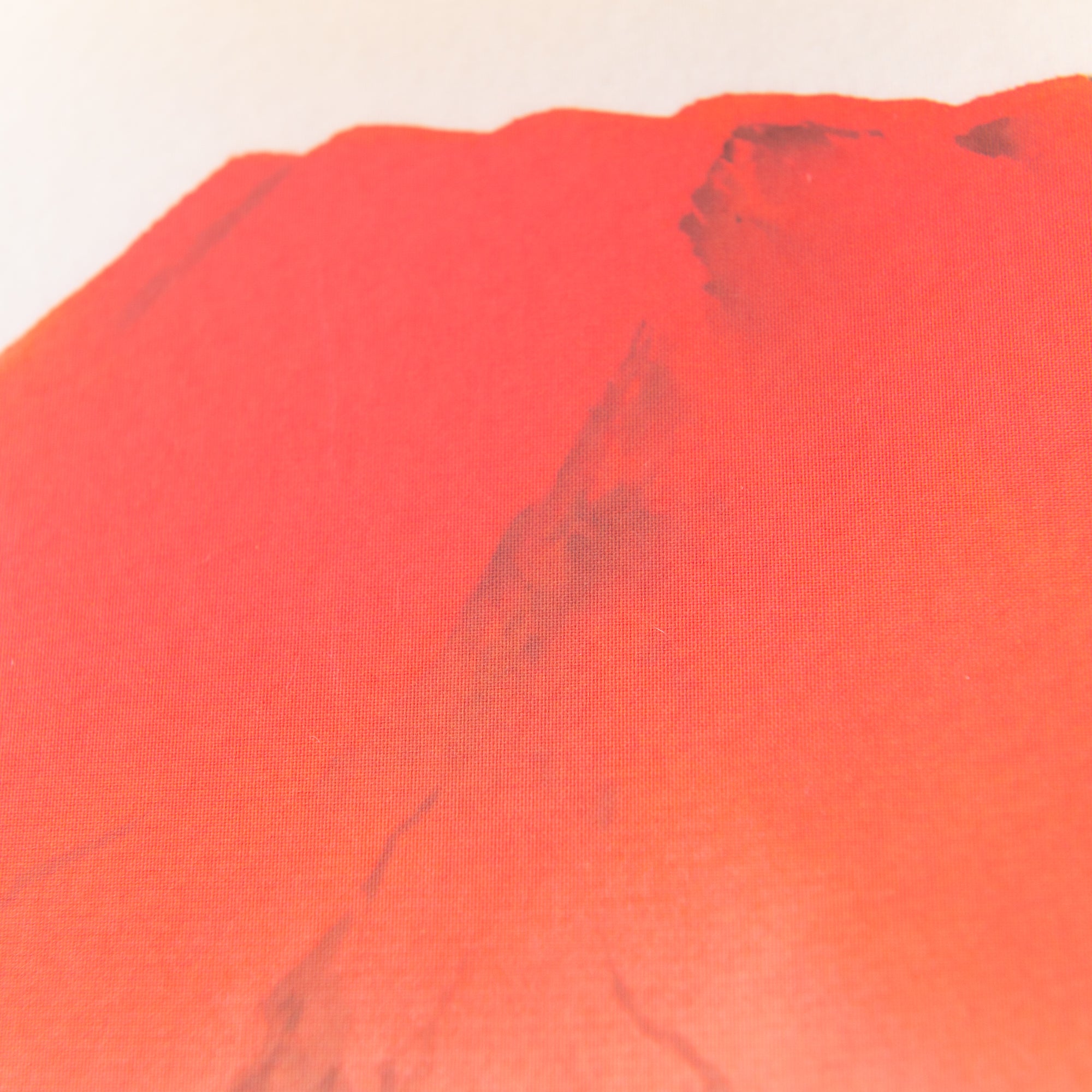 Red Mt. Fuji  Landscape Kakejiku Hanging Scroll