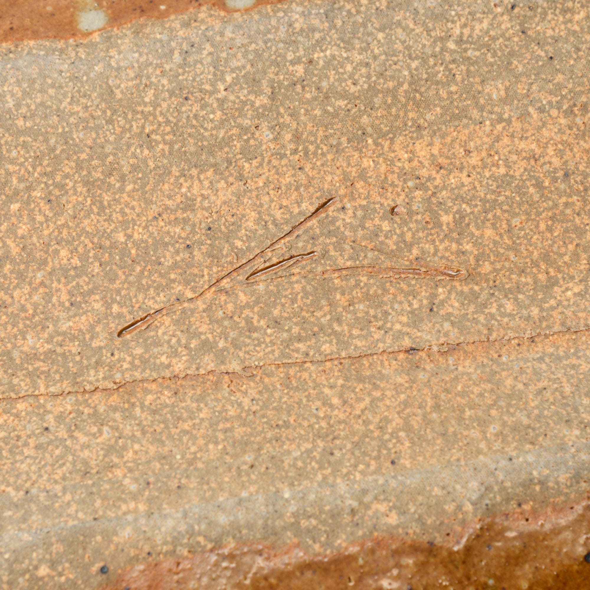 Kinsai Camellia Platter