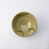 Musashi Kiln Brown Water Plant Mino Ware Ramen Bowl M