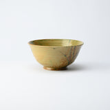 Musashi Kiln Brown Water Plant Mino Ware Ramen Bowl M