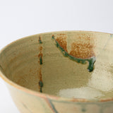 Musashi Kiln Brown Water Plant Mino Ware Ramen Bowl M