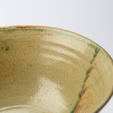 Musashi Kiln Brown Water Plant Mino Ware Ramen Bowl M