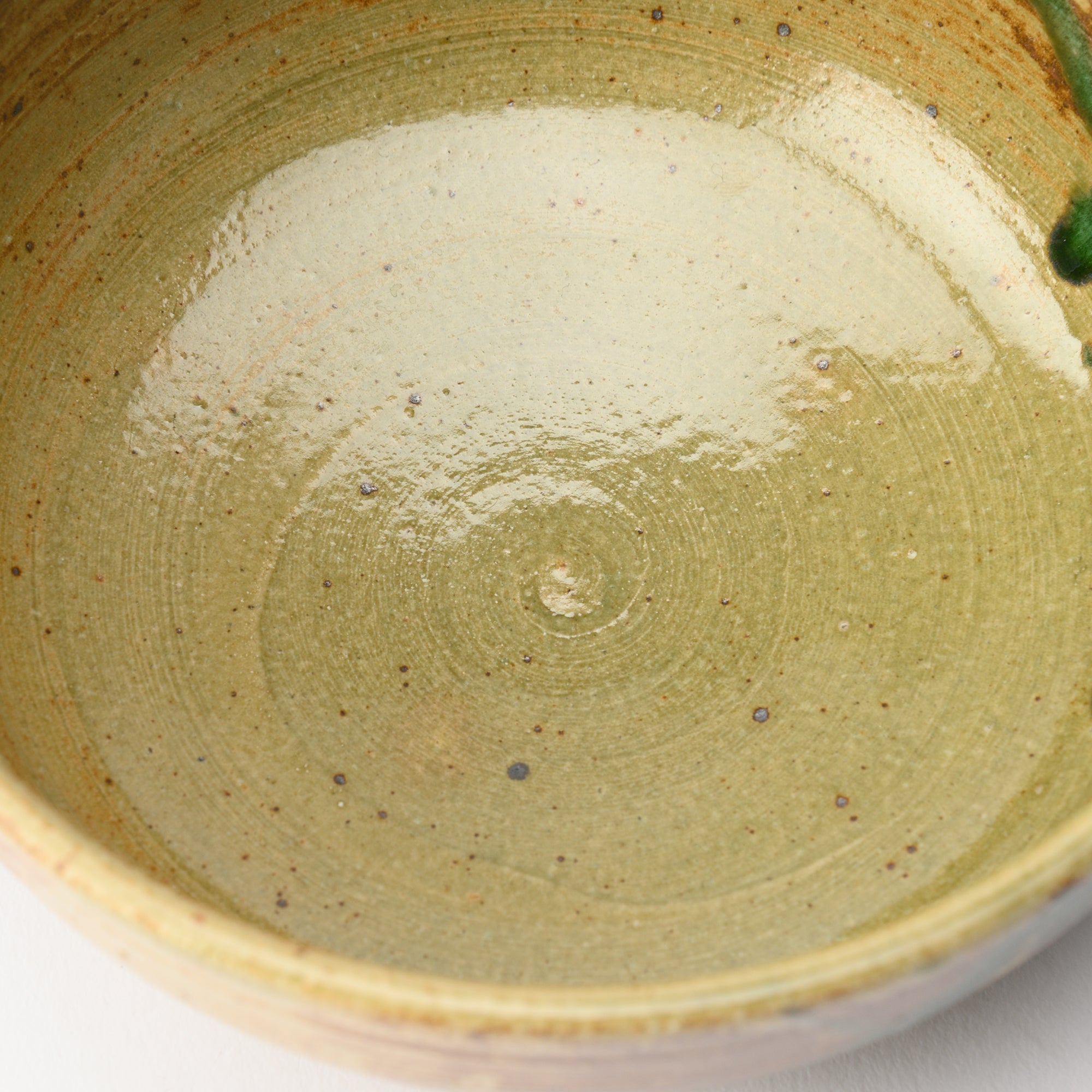 Brown Water Plant Serving Bowl