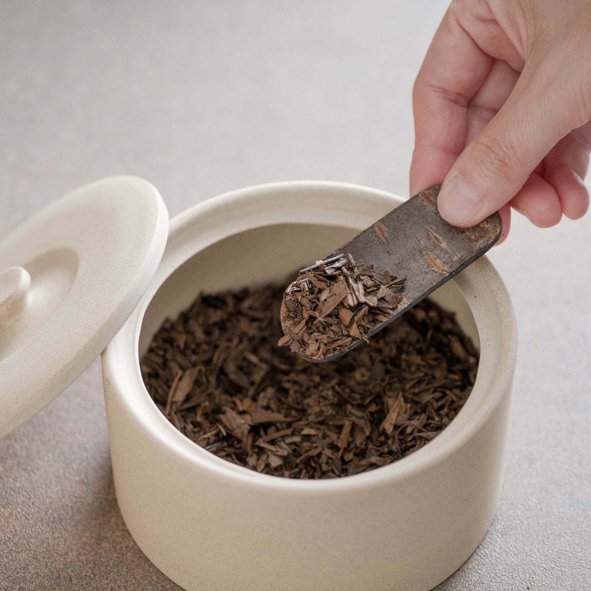 Cherry Blossom Bark-Design Chasaji Teaspoon
