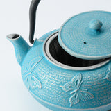 Roji Associates Sky Blue Butterfly Nambu Ironware Cast Iron Teapot