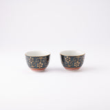 Aochibu and Clematis Kutani Houhin Japanese Teapot Set with 2 Teacups - MUSUBI KILN - Quality Japanese Tableware and Gift