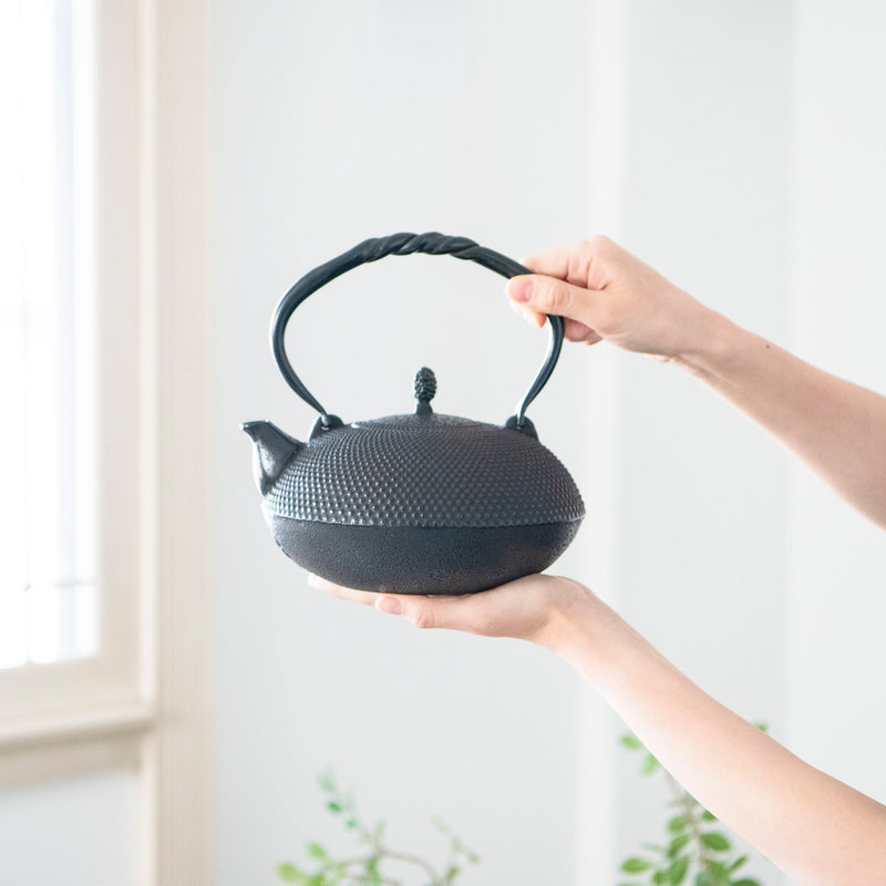 Arare Nambu Ironware Cast Iron Kettle - MUSUBI KILN - Quality Japanese Tableware and Gift