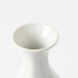 Baizan Kiln Arabesque Tobe Gourd Sake Carafe 6.3in - MUSUBI KILN - Quality Japanese Tableware and Gift