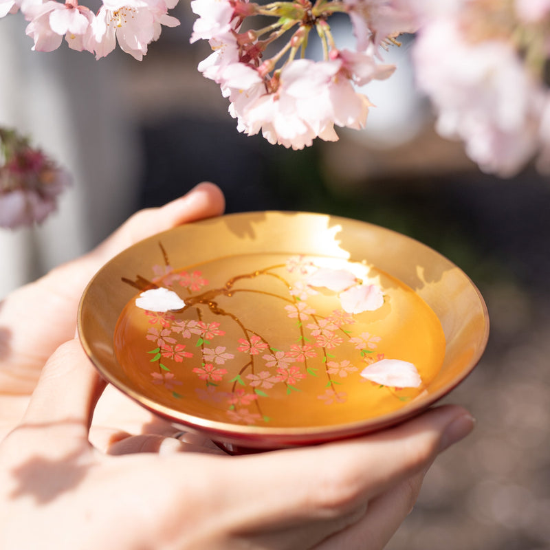 Fukunishi Sobe Gold Weeping Cherry Aizu Lacquerware Sakazuki Flat Sake Cup with Stand - MUSUBI KILN - Quality Japanese Tableware and Gift