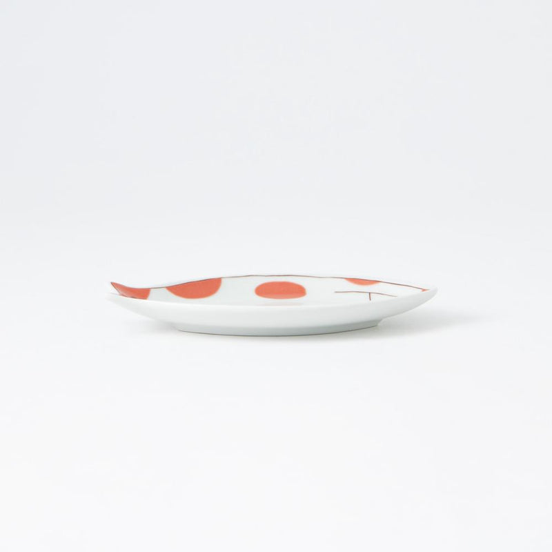 Harekutani Cat Sauce Plate - MUSUBI KILN - Quality Japanese Tableware and Gift