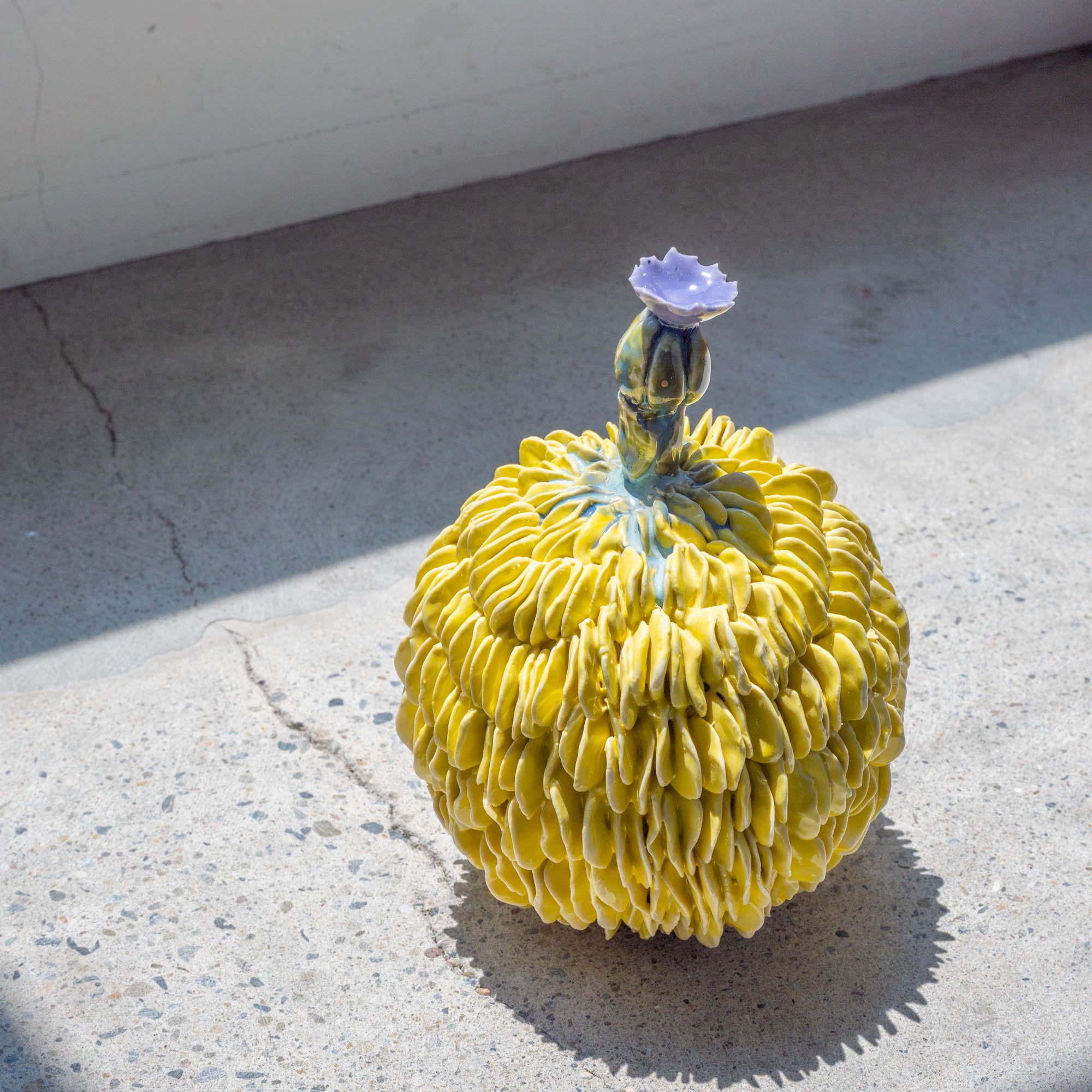 Botanical Textures Objet d'Art 18