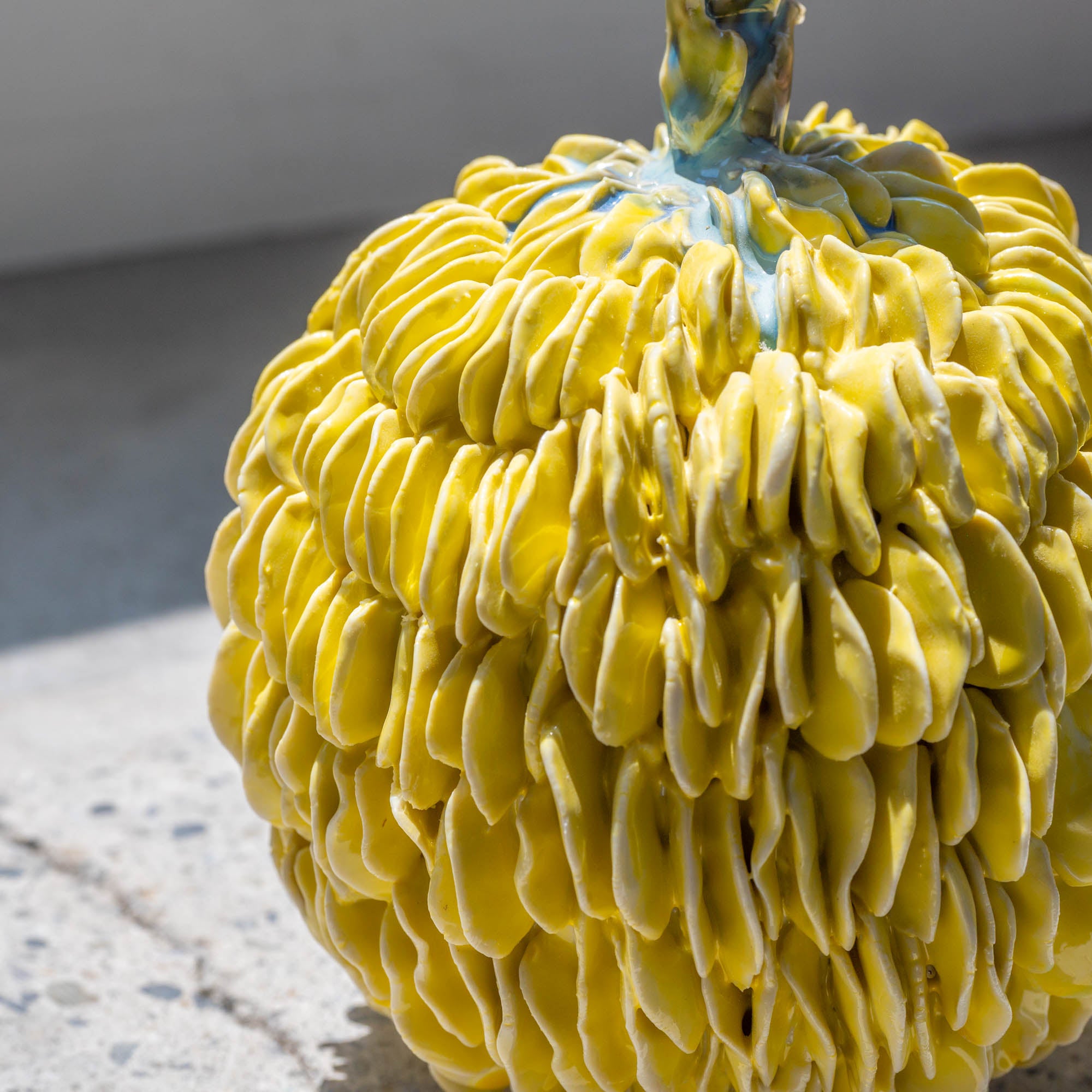 Botanical Textures Objet d'Art 18