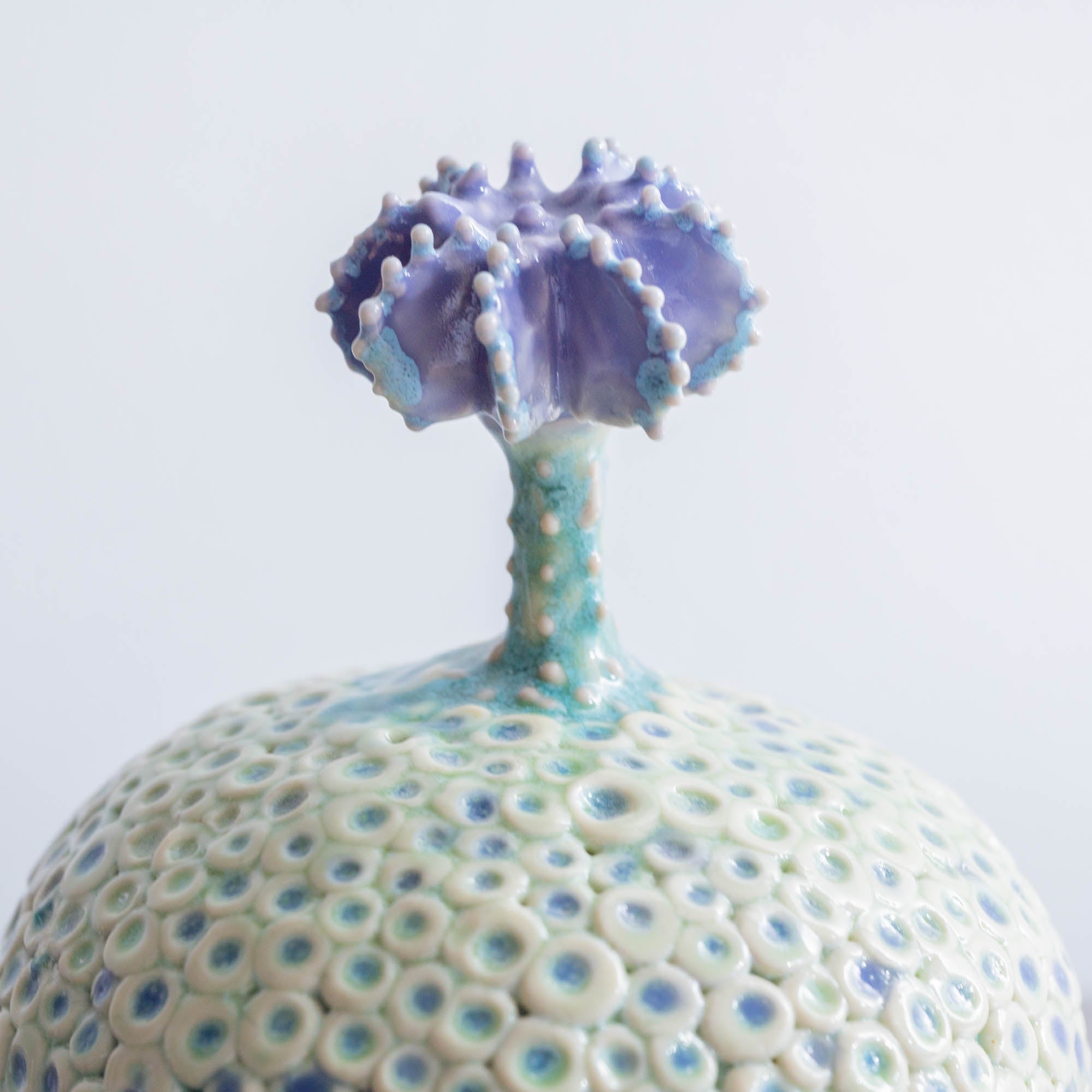 Botanical Textures Objet d'Art 14