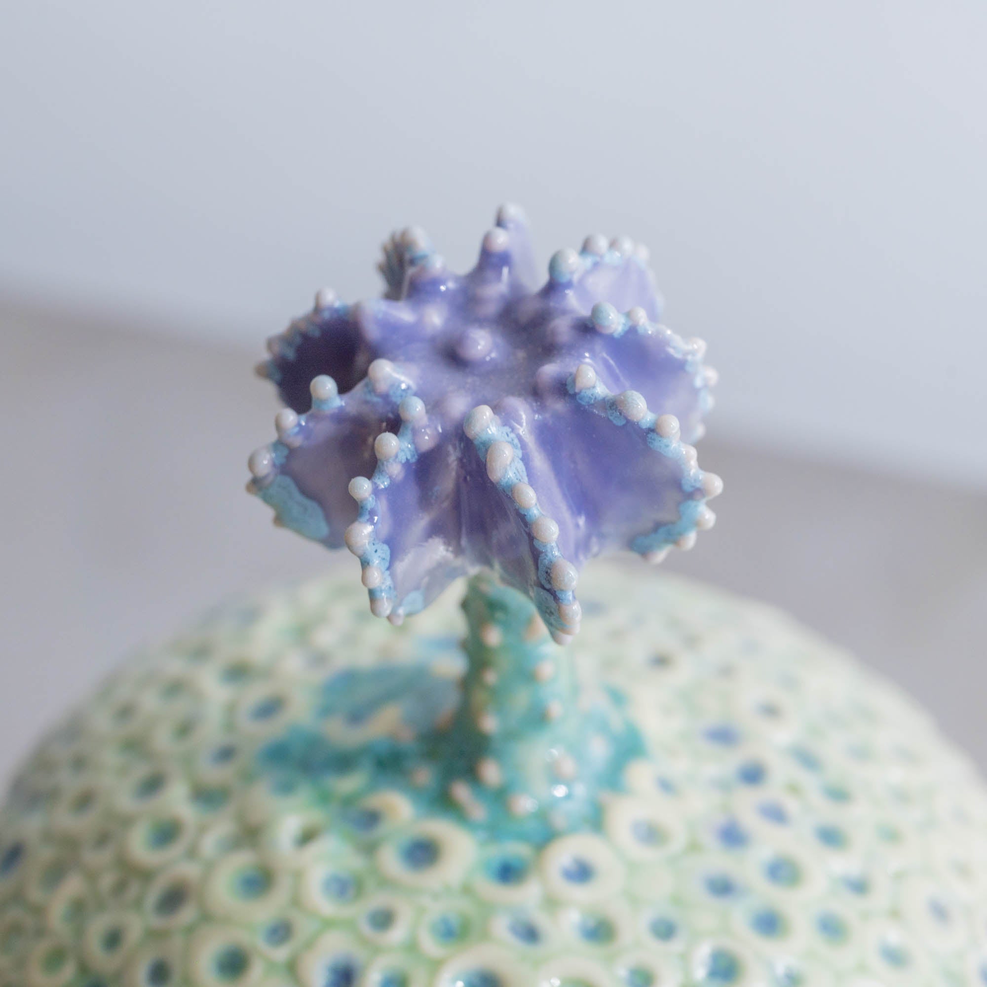 Botanical Textures Objet d'Art 14