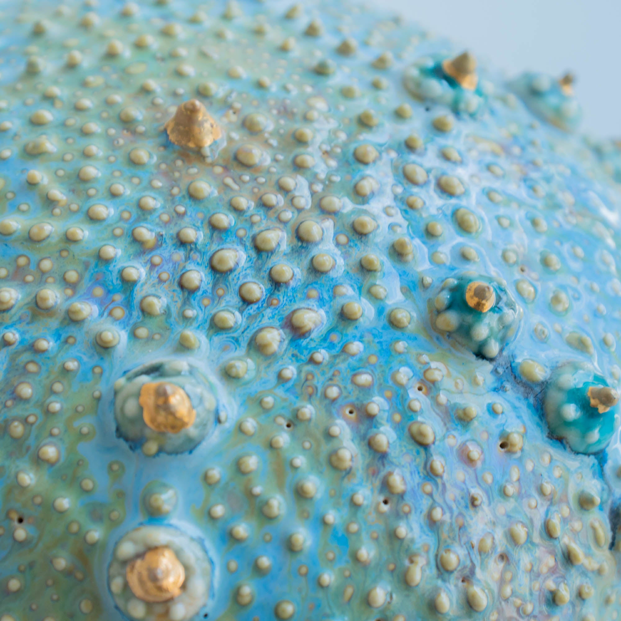 Botanical Textures Objet d'Art 20
