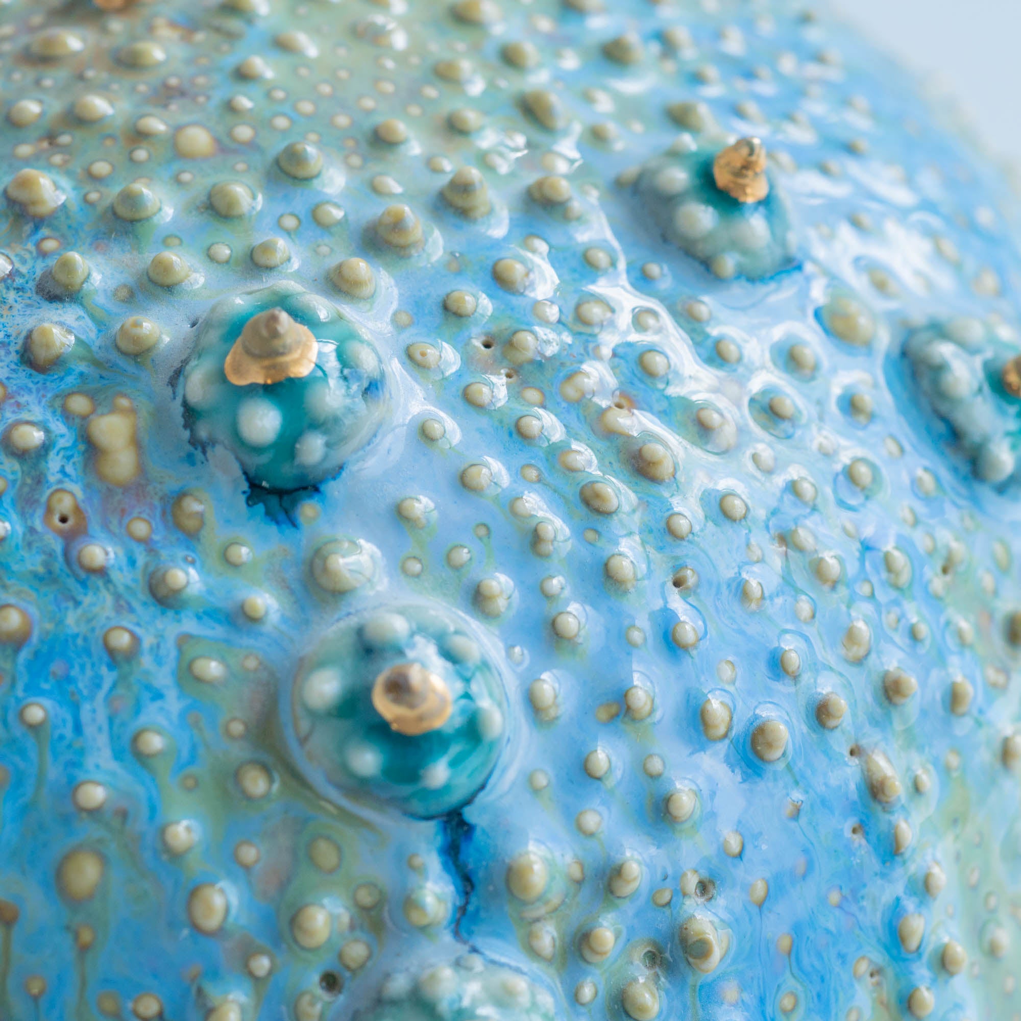 Botanical Textures Objet d'Art 20