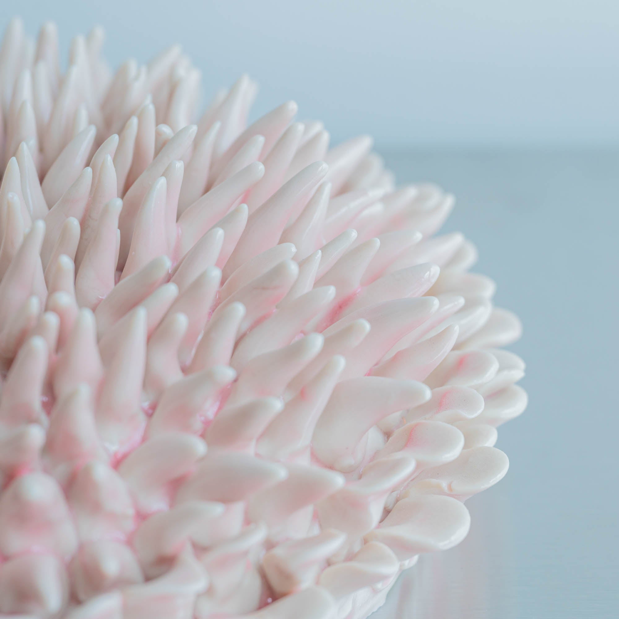 Marine Textures Objet d'Art 26