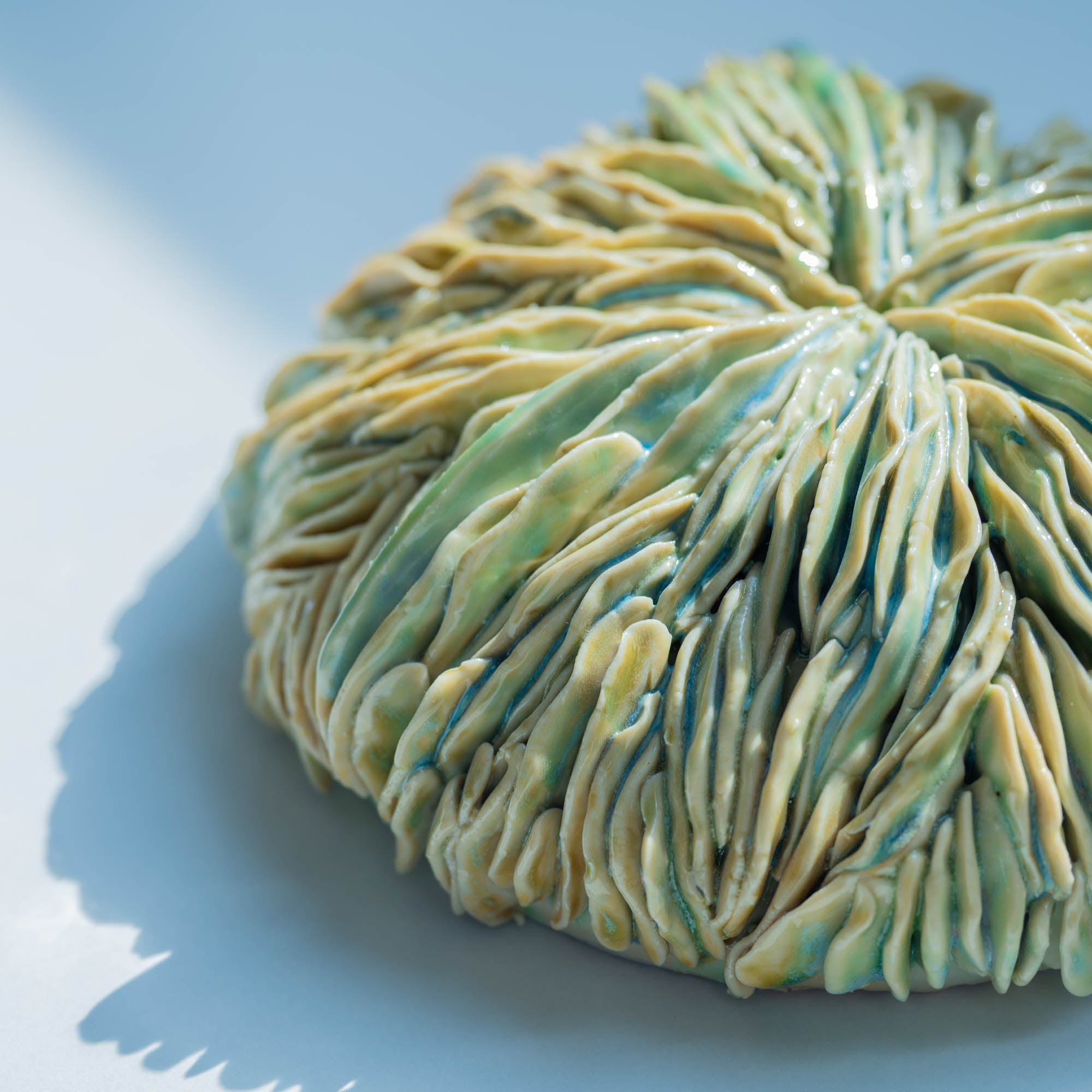 Marine Textures Objet d'Art 27