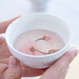 Hibino Crystalline Glaze Mino Ware Japanese Teacup - MUSUBI KILN - Quality Japanese Tableware and Gift