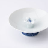 Hirado Sakura Mikawachi Ware Sakazuki Flat Sake Cup - MUSUBI KILN - Quality Japanese Tableware and Gift