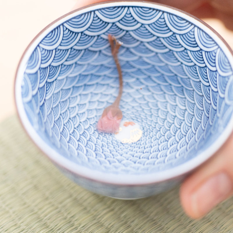 Midou Kiln Seigaiha Blue Wave Hasami Japanese Small Teacup - MUSUBI KILN - Quality Japanese Tableware and Gift