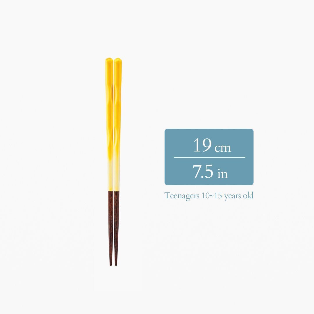 Perfect Fit Dishwasher Safe Wakasa Lacquer Reusable Chopsticks Yellow 15 cm (5.9 in) - 22.5 cm (8.9 in) - MUSUBI KILN - Quality Japanese Tableware and Gift